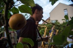 amap_fanfare_0012