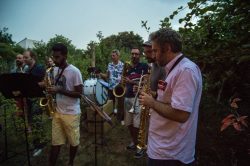 amap_fanfare_0016